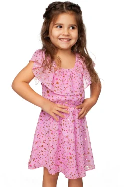 BuddyLove Clothing Label Tween | Tween + Girls*Ainsley Girl's Top and Skirt Set - Zodiac