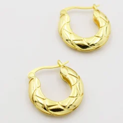 Treasure Jewels, Inc. Jewelry*Goldie Hoop Earring