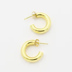 Treasure Jewels, Inc. Jewelry*Sarah Chunky Gold Earring