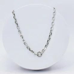 Treasure Jewels, Inc. Jewelry*The Brooke Chain Necklace Silver
